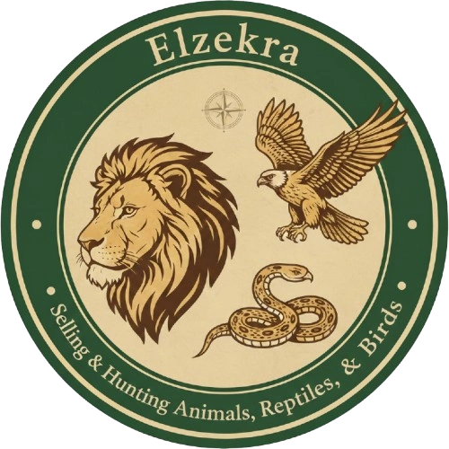 الذكرى لبيع وصيد الحيوانات والزواحف والطيور